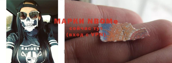 стаф Липки
