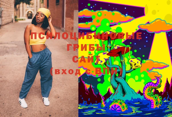 Альфа ПВП Лиски