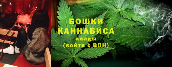 Альфа ПВП Лиски