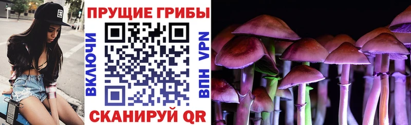 Псилоцибиновые грибы ЛСД Купить закладки Саки