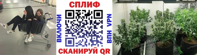 Купить  Саки  Бошки Шишки марихуана 